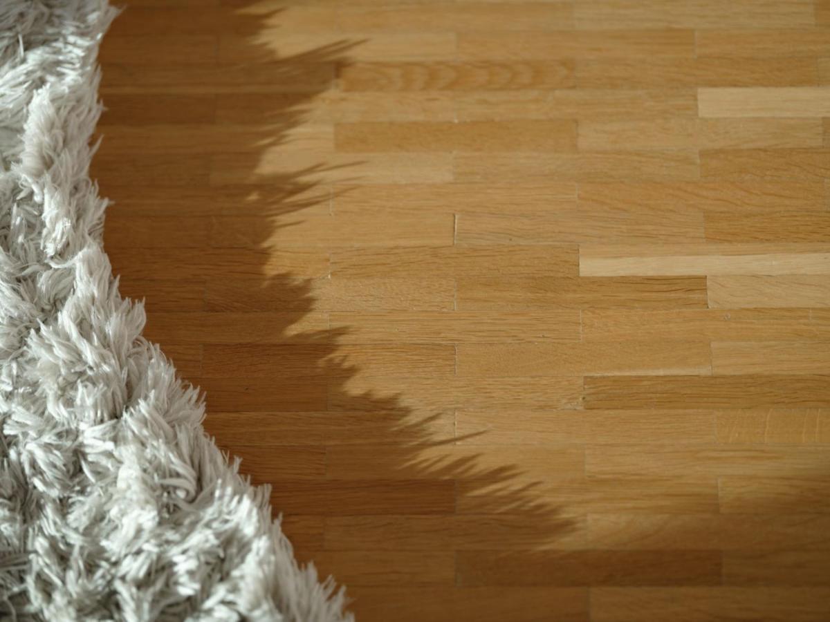 דירות דה האן Stijlvolle En Lichtrijke Design Penthouse Met Prachtig Uitzicht Te Wenduine מראה חיצוני תמונה